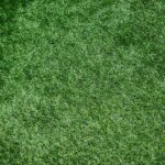 Berkshire Turf & Artificial Grass Companies